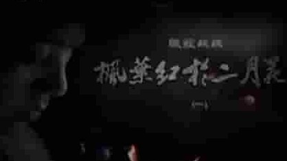 央视纪录片《隐蔽战线·枫叶红于二月花 2013》全4集 国语中字 标清纪录片隐蔽战线·枫叶红于二月花 2013》全4集 国语中字 标清网盘下载