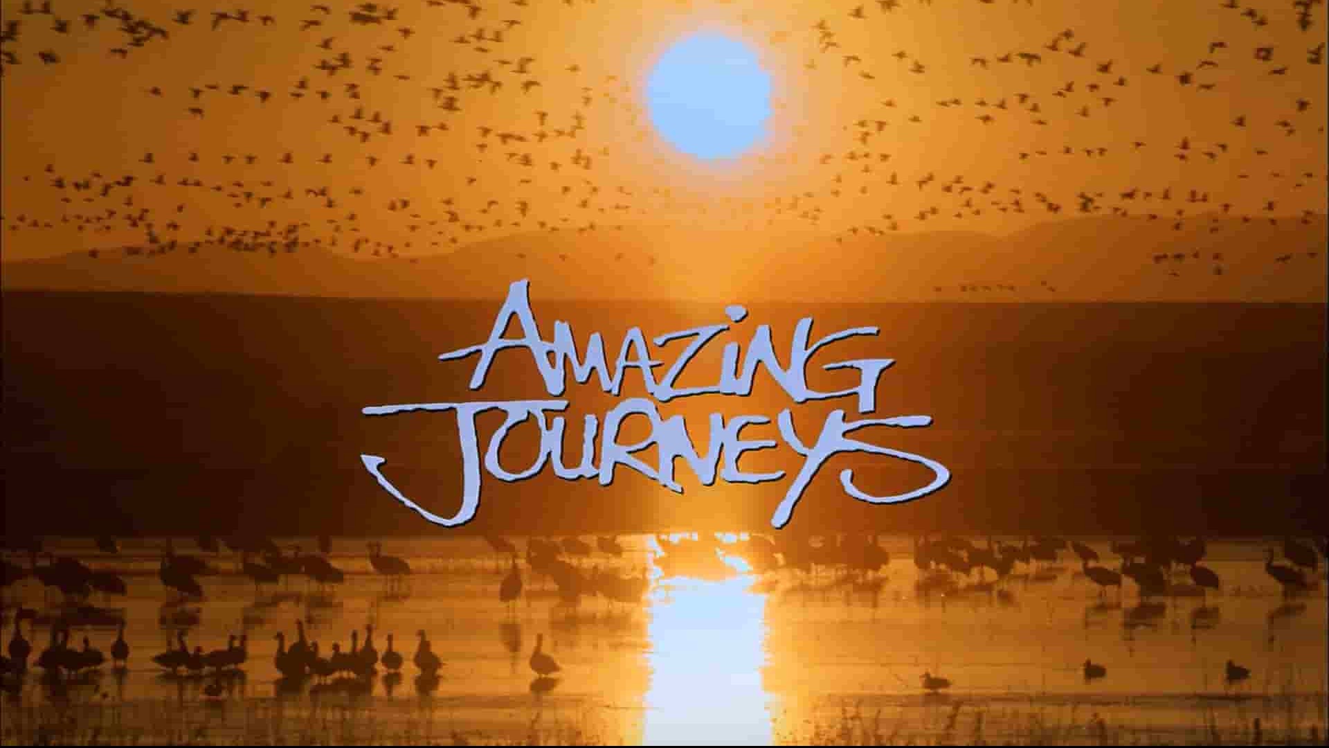  IMAX纪录片《惊奇之旅/奇异的旅程/奇异之旅 Amazing Journeys》全1集 英语中字 1080P高清网盘下载