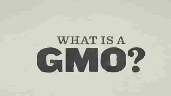 美国转基因记录片《转基因，我的上帝 GMO OMG 》全1集 英语中字 标清网盘下载 