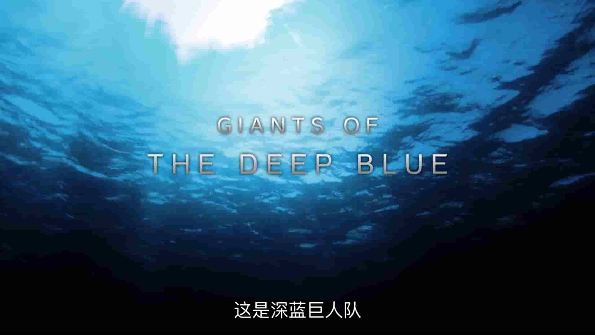国家地理《深海巨兽 Giants of the Deep Blue 2018》全1集 英语中英双字 1080P高清网盘下载