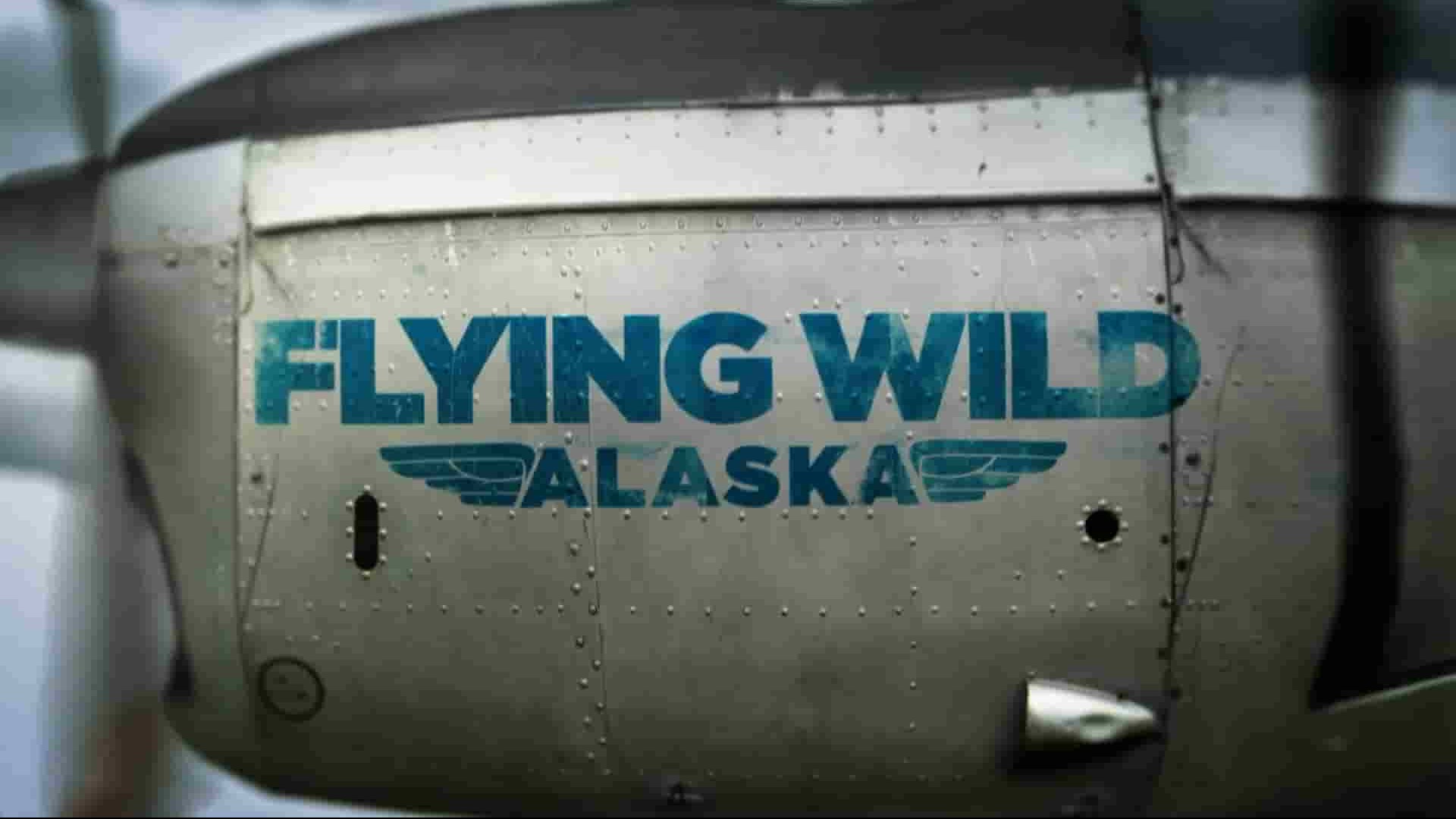 探索频道《飞越狂野阿拉斯加 Flying Wild Alaska》第1-3季全31集 英语中英双字 1080P高清网盘下载