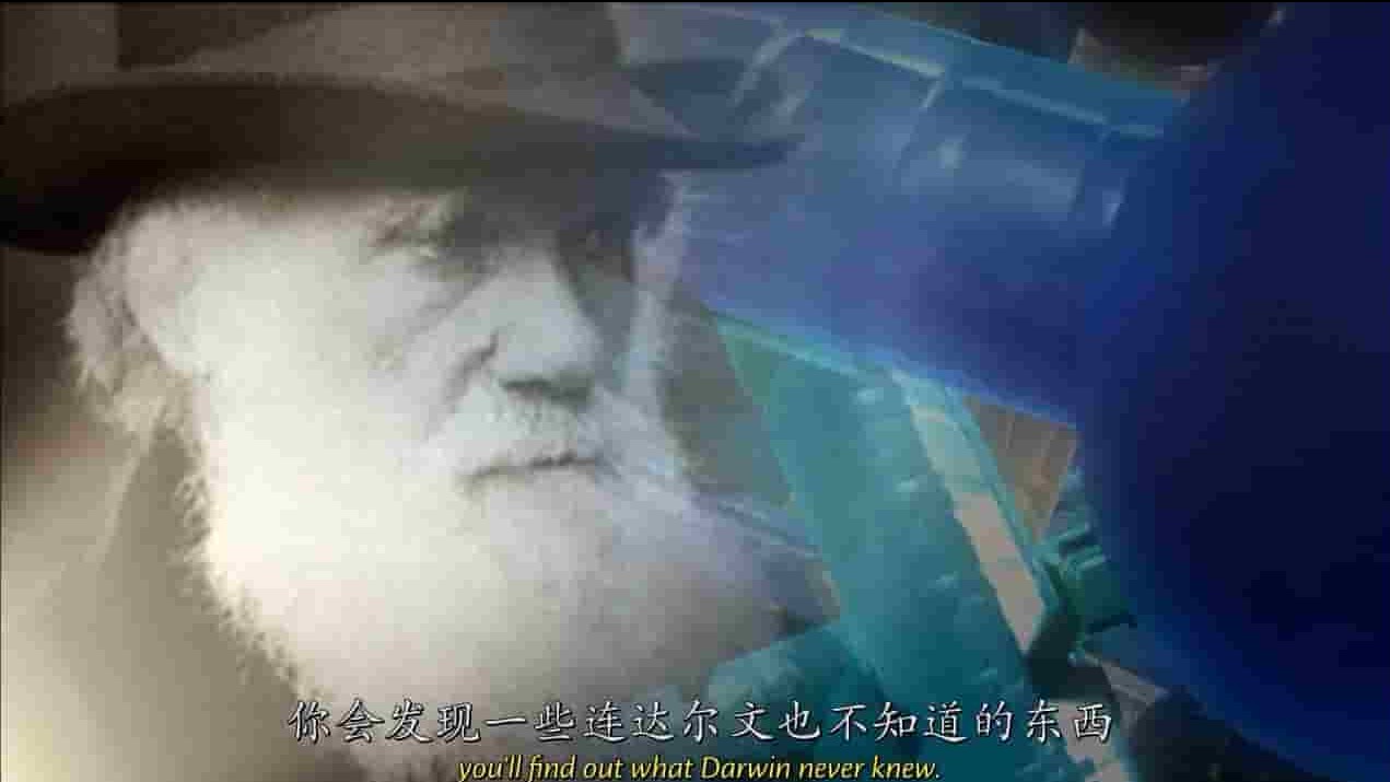 PBS纪录片《达尔文所不知道的事 What Darwin Never Knew》全1集 英语中字 720P高清网盘下载