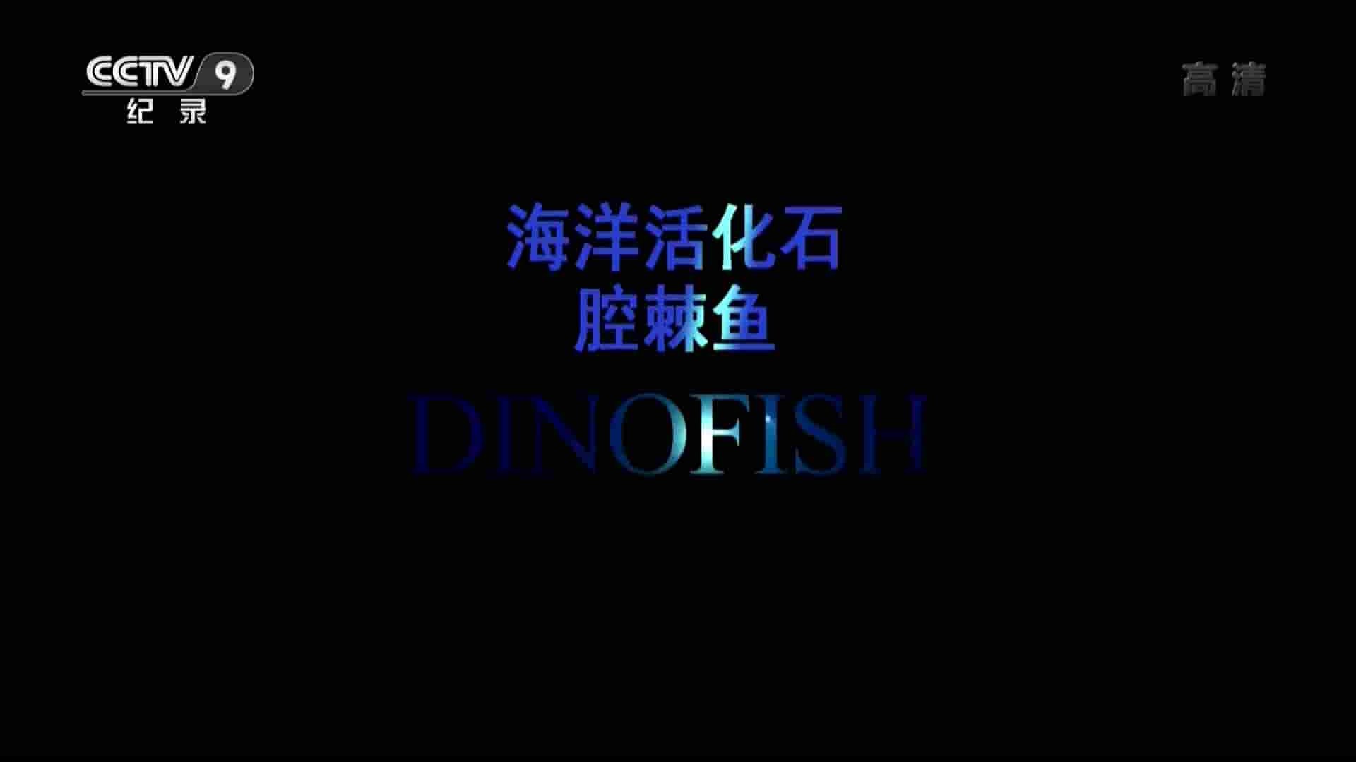 央视纪录片《海洋活化石——腔棘鱼 Dinofish 2013》全1集 国语中字 720P高清网盘下载