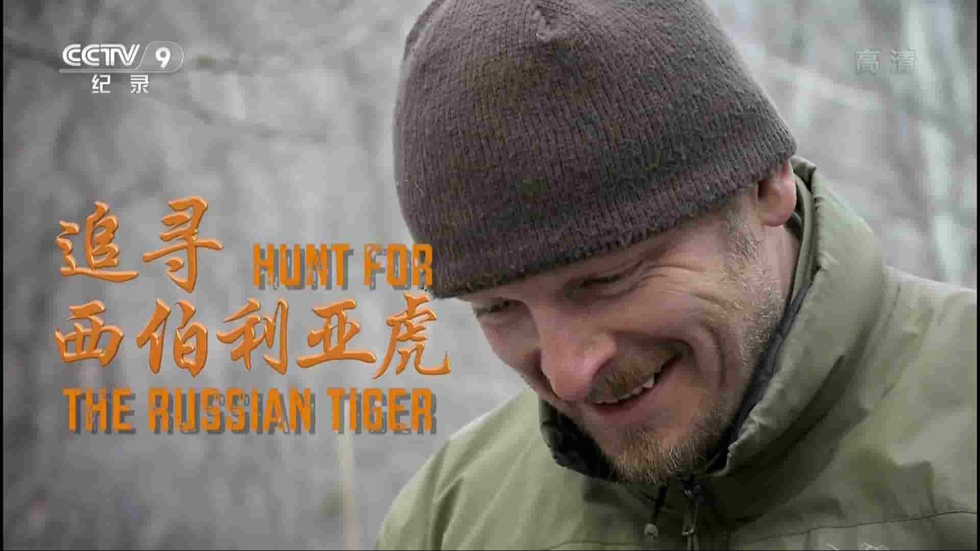 央视纪录片《寰宇视野 追寻西伯利亚虎 Hunt For The Russina Tiger 2016》全1集 英语中字 1080P高清网盘下载