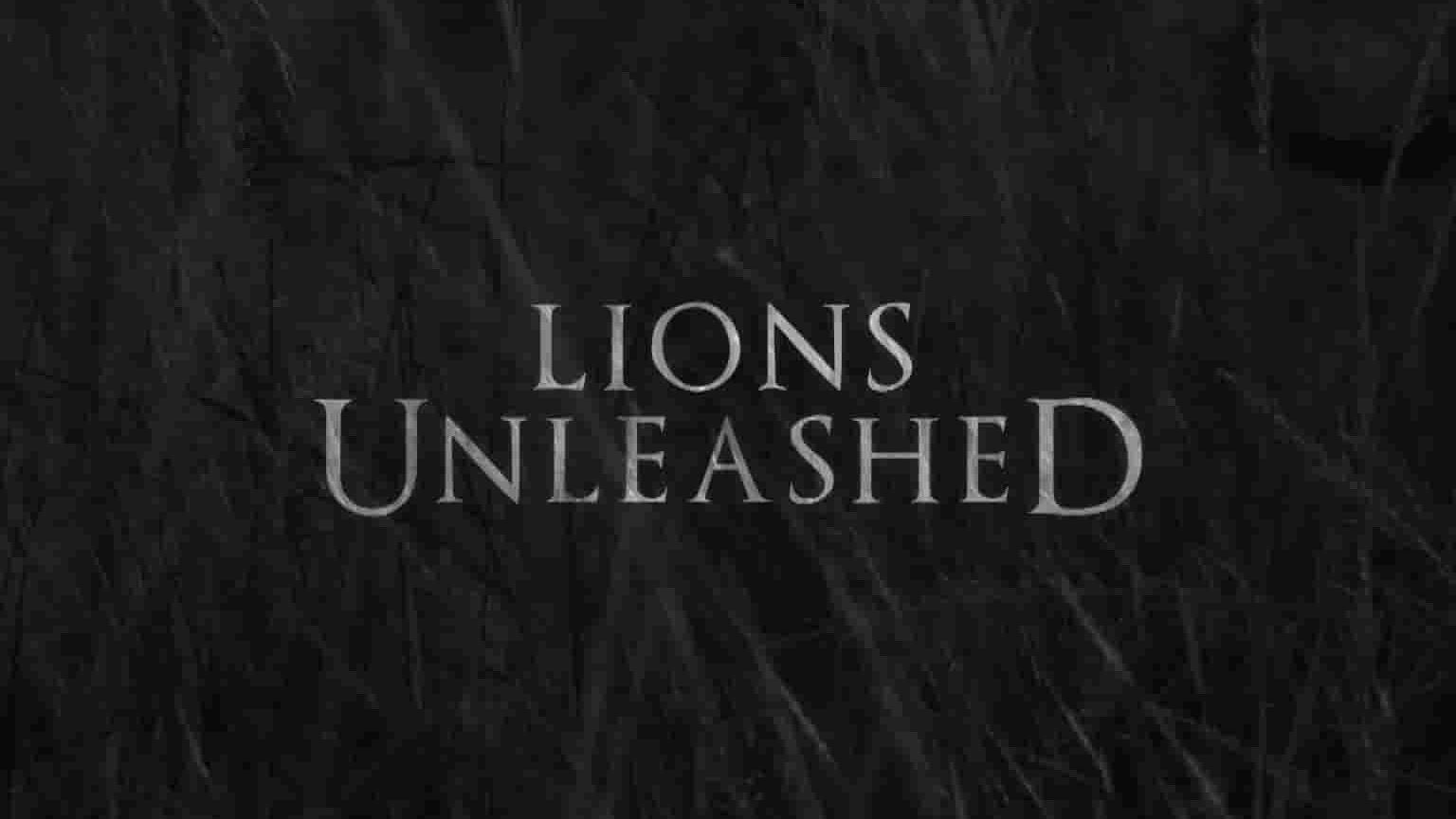 史密森尼频道《被释放的狮子Lions Unleashed 2017》全1集 英语多国中字 1080P高清网盘下载