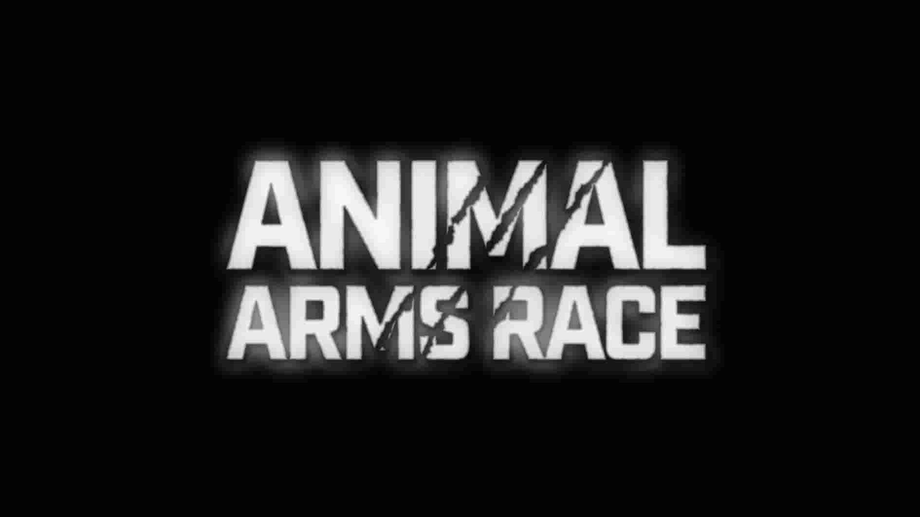 澳大利亚纪录片《动物军备竞赛/动物竞技场 Animal Arms Race 2020》第1季全3集 英语中英双字 1080P高清网盘下载