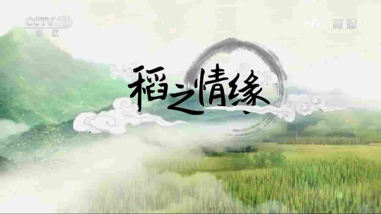 央视纪录片《探索发现-稻之情缘 2017》全1集 国语中字 720P高清网盘下载