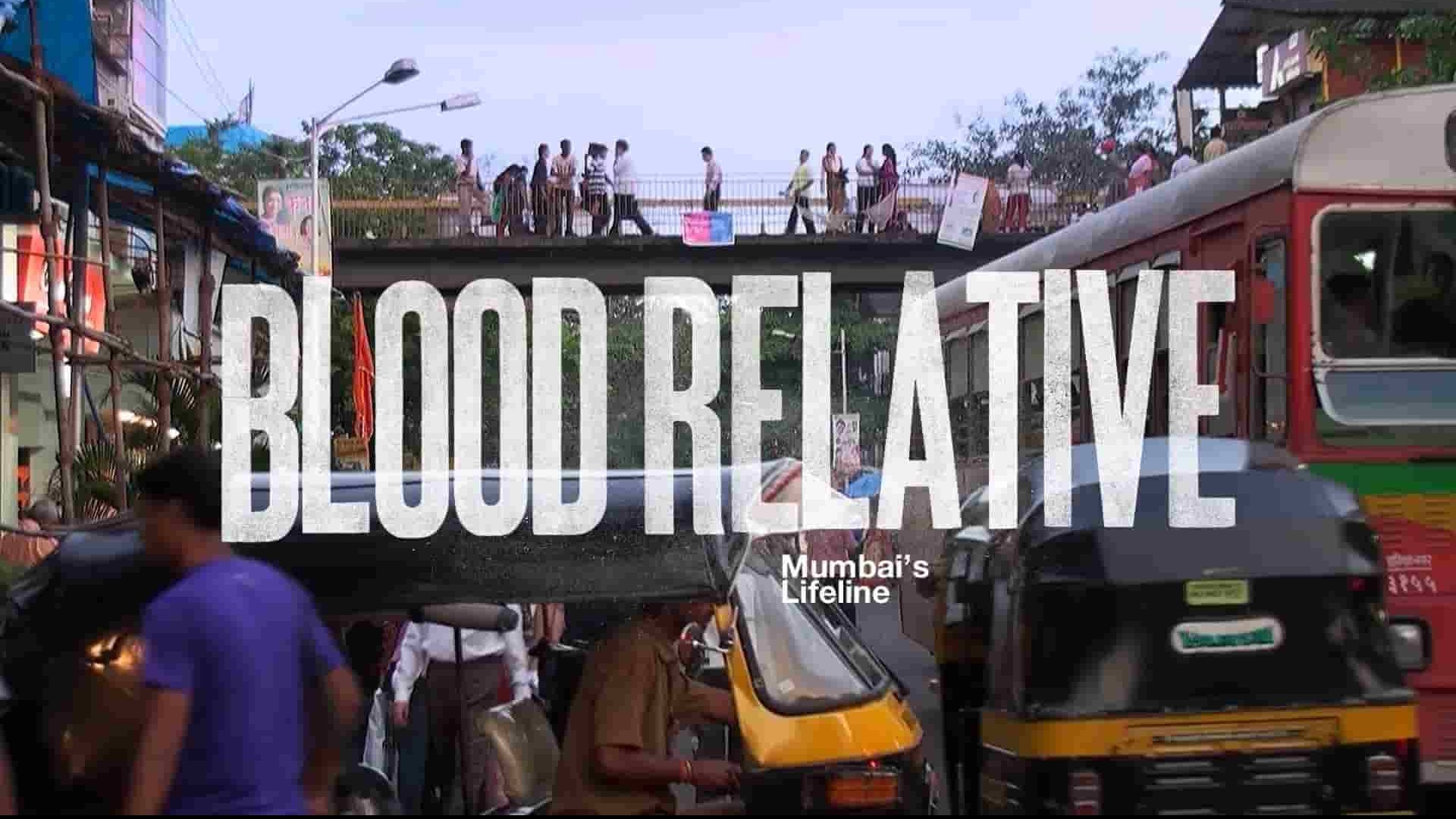 加拿大纪录片《血缘关系 Blood Relatives 2012》全1集 英语中英双字 1080P高清网盘下载