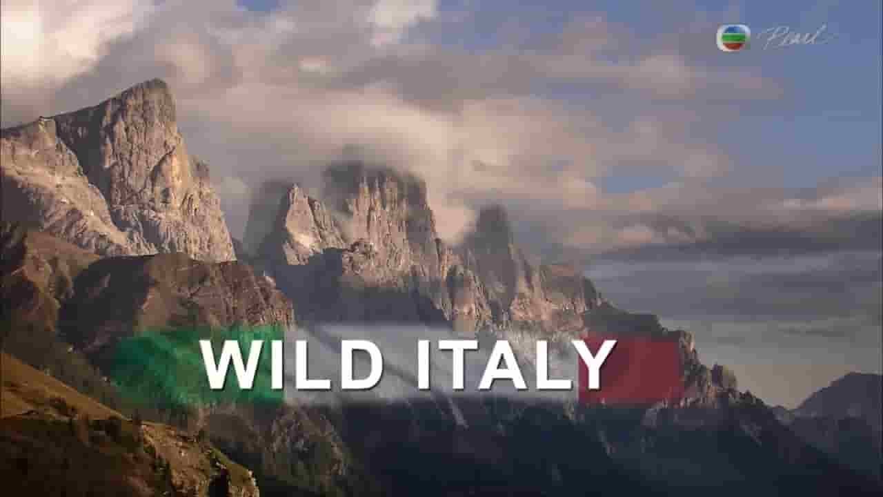  意大利纪录片《野性意大利 Wild Italy》全2集 粤语中字 720P高清网盘下载 
