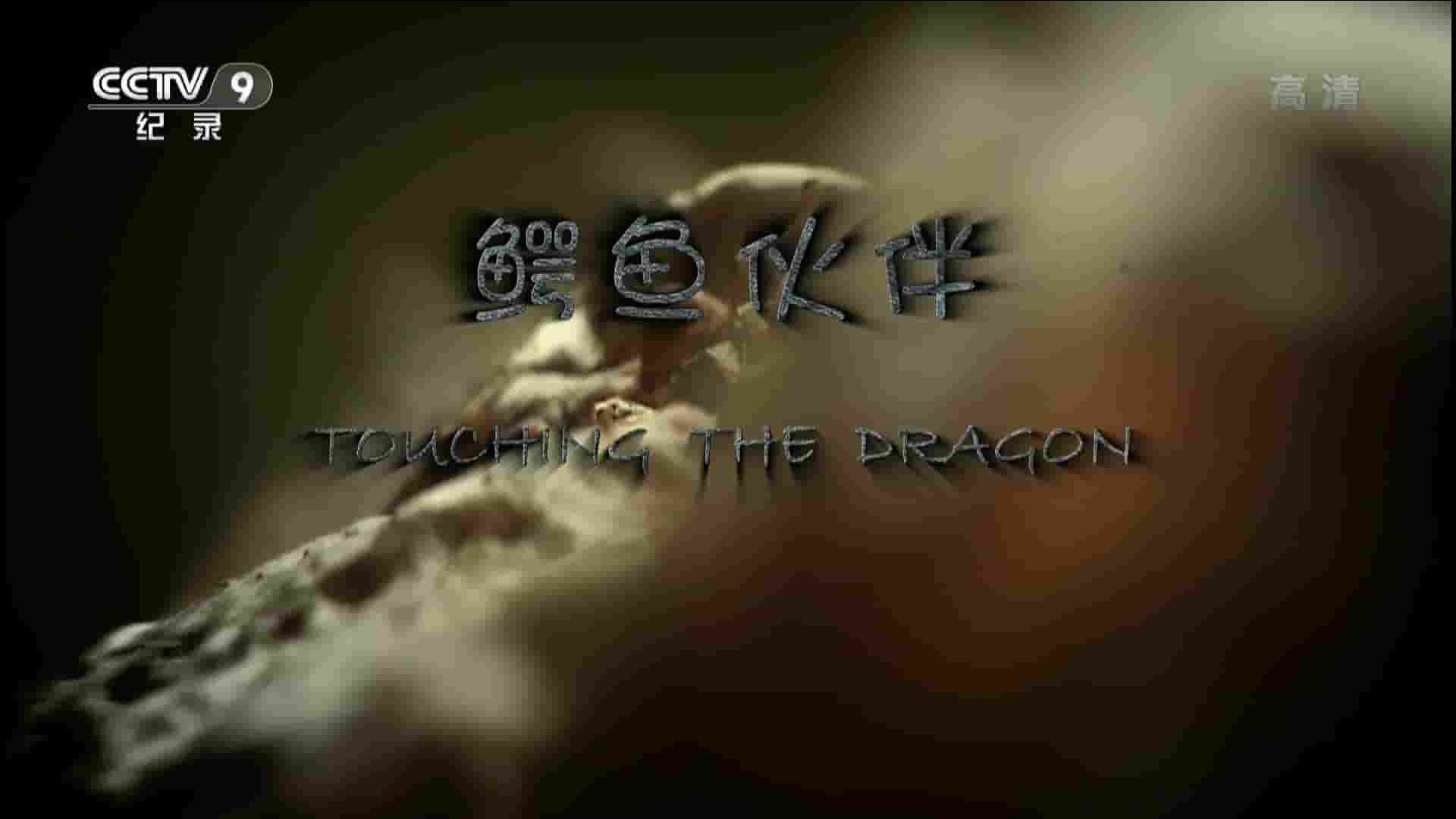 央视纪录片《鳄鱼伙伴 Touching the Dragon 2017》全1集 国语中字 1080P高清网盘下载