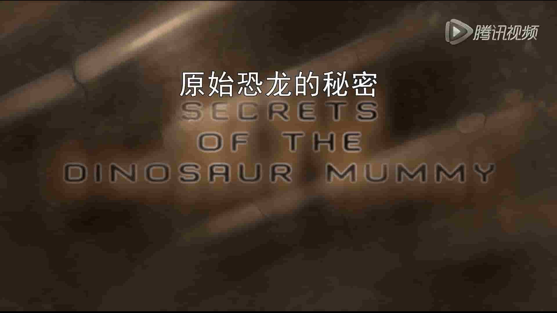  美国纪录片《原始恐龙的秘密 Secrets Of The Dinosaur Mummy 2016》全1集 英语中字 720P高清网盘下载