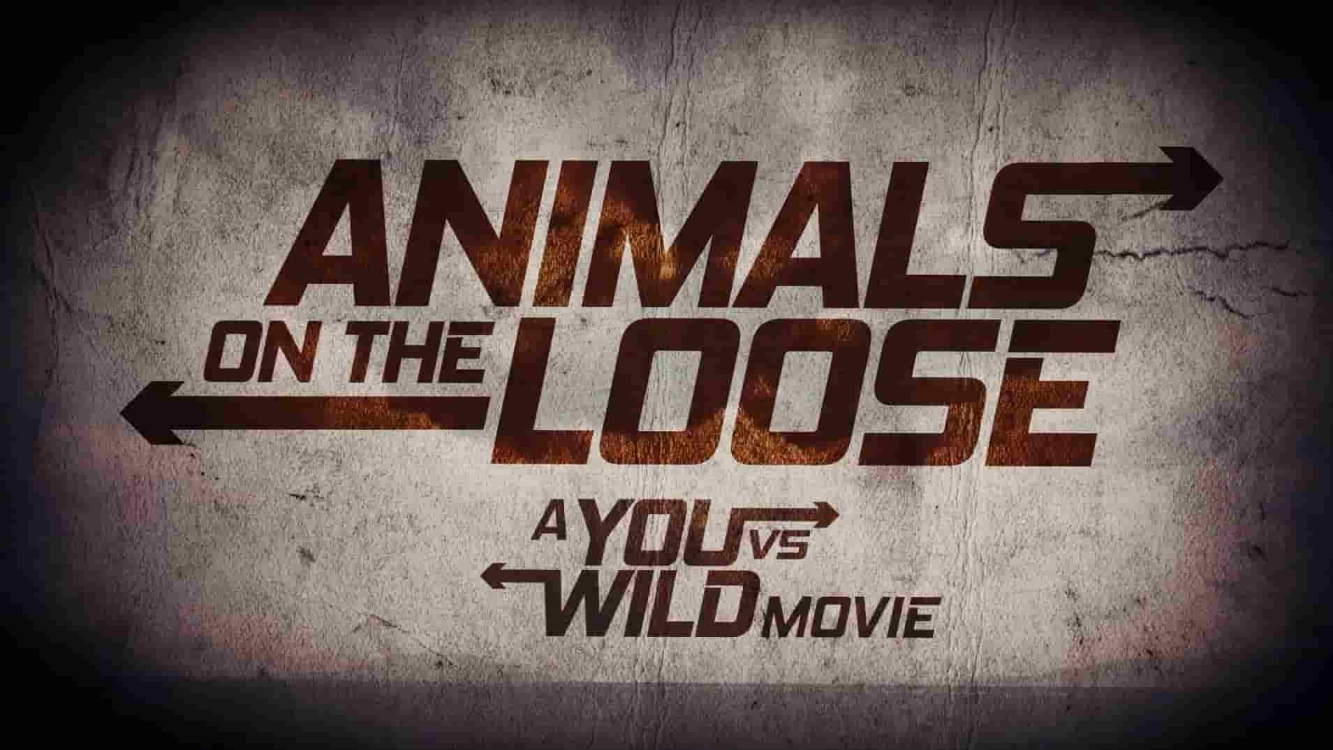  Netflix纪录片《你的荒野求生电影版：出逃的野兽/贝尔对抗荒野：停电危机/野外求生預埋你：動物狂奔 Animals on the Loose: A You vs. Wild Movie 2021》全1集 英语外挂中字 1080P高清网盘下载
