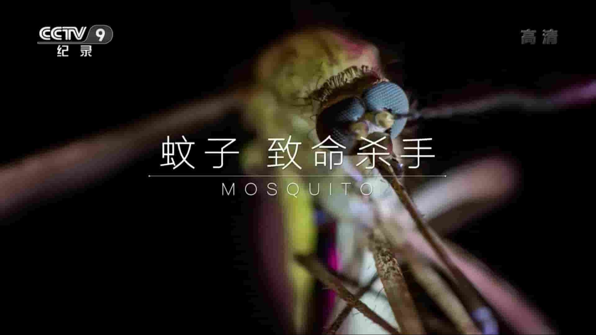 央视纪录片《蚊子：致命杀手 Mosquito 2015》全1集 国语中字 1080i高清网盘下载