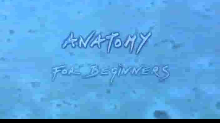 CH4纪录片《基础解剖学 Anatomy for Beginners 2005》全4集 英语中字