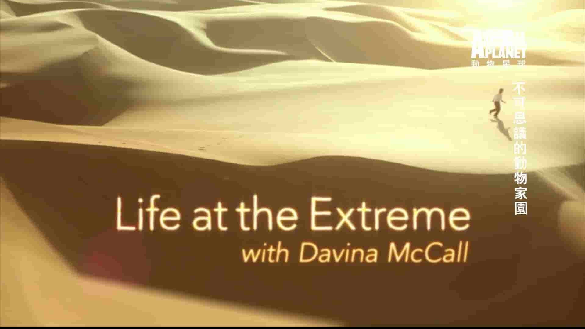 探索频道《动物星球 不可思议的动物家园 Life At The Extreme With Davina McCall》全4集 国语中字 1080P高清网盘下载