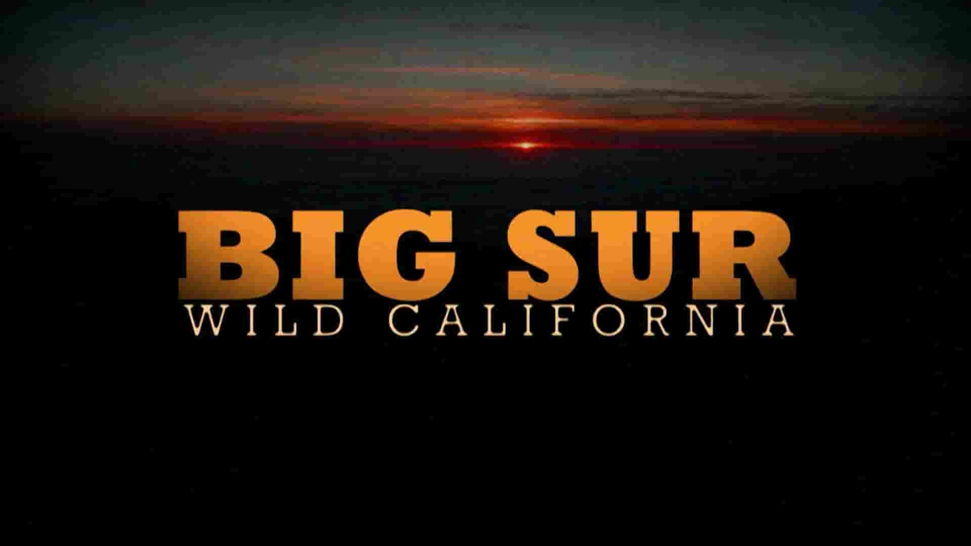 国家地理《大索尔海岸线 Big Sur-Wild California 2010》全1集 英语中英双字 1080P高清网盘下载