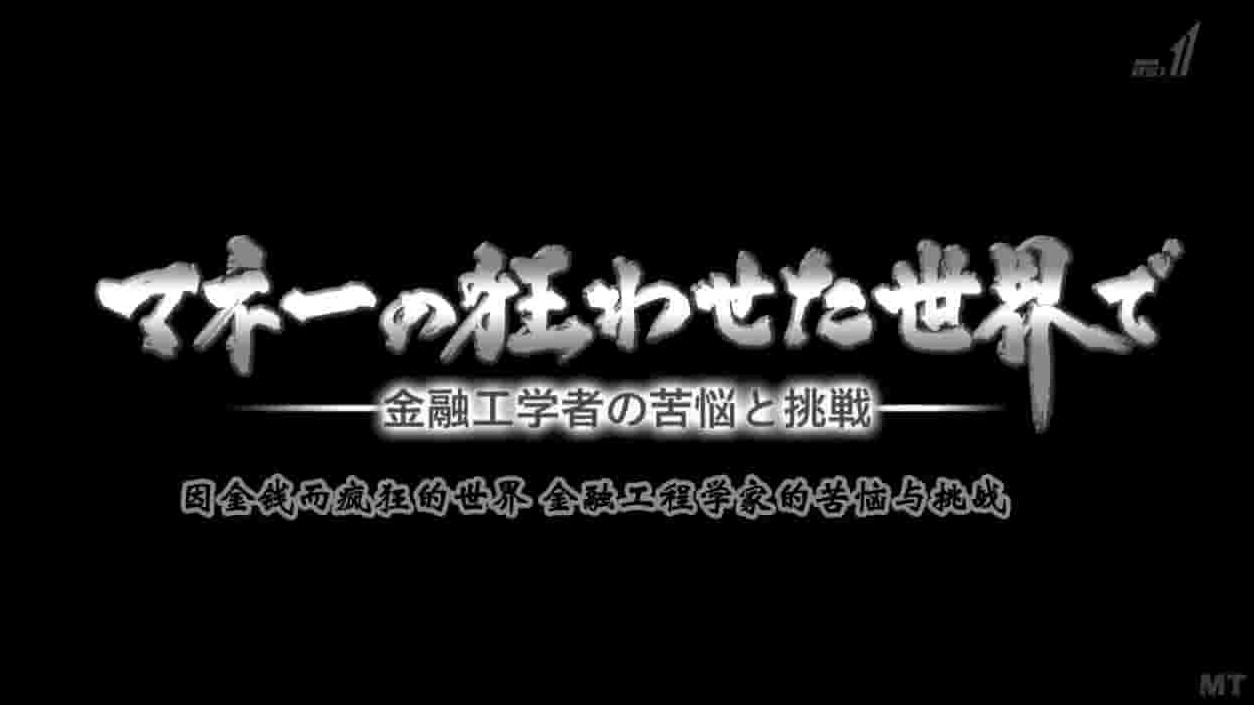 NHK纪录片《因金钱而疯狂的世界 金融工程学家的苦恼与挑战 2016》全1集 日语中日双字 720p高清网盘下载