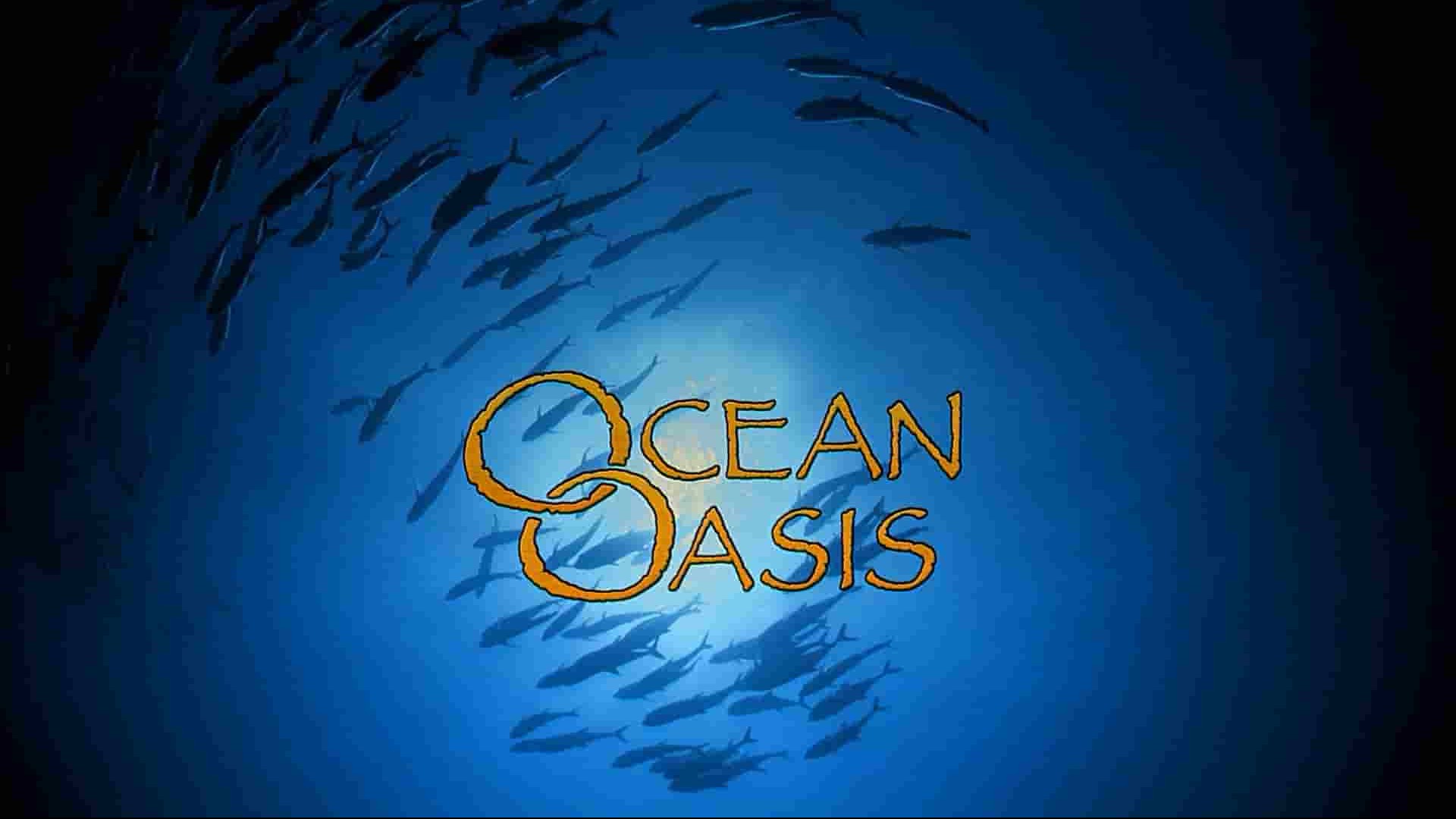 IMAX海洋纪录片《海洋绿洲 Ocean Oasis》全1集 英语中字 1080P高清网盘下载