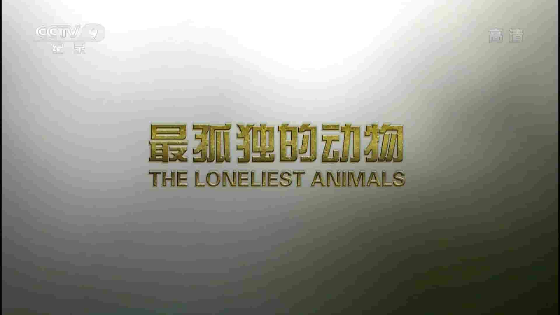 PBS纪录片《最孤独的动物 The Loneliest Animals》全1集 国英双语中字 1080P高清网盘下载 