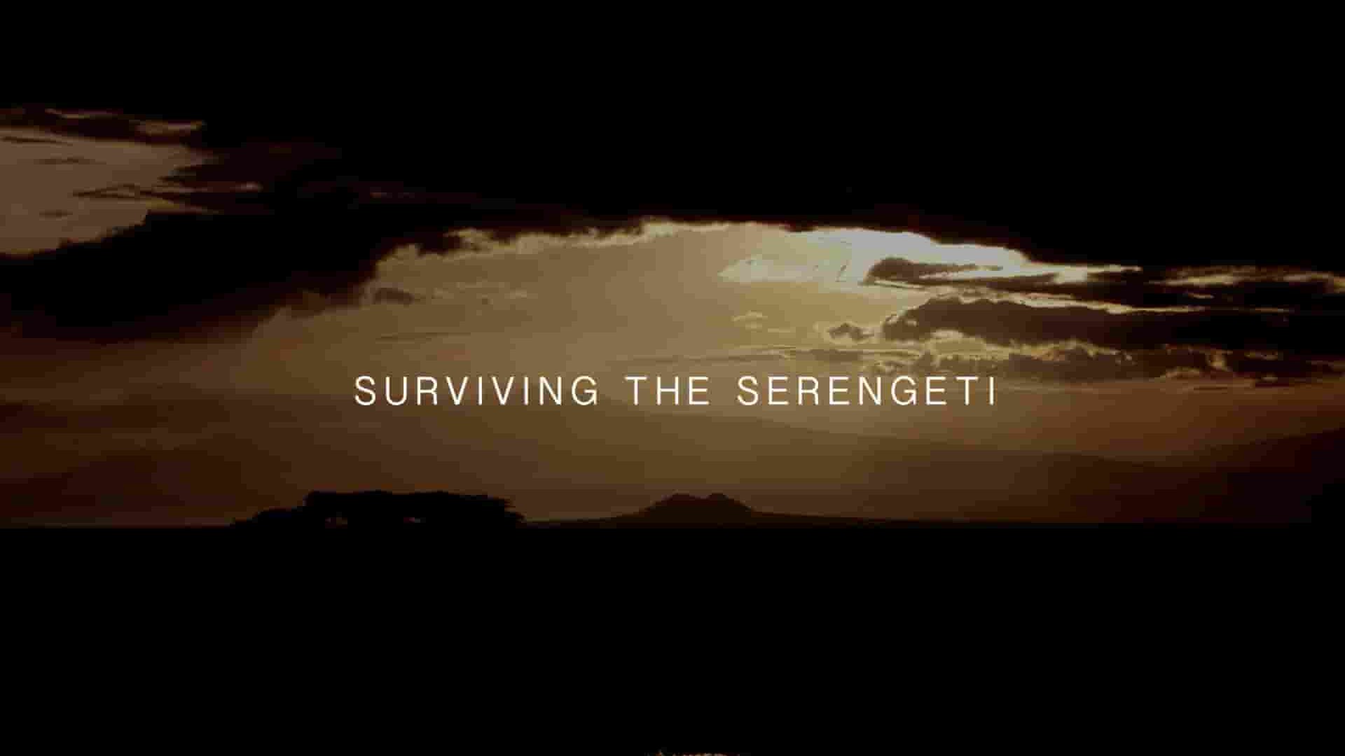 史密森尼频道《塞伦盖蒂生存法则 Surviving the Serengeti 2023》全1集 英语中英双字 1080P高清网盘下载