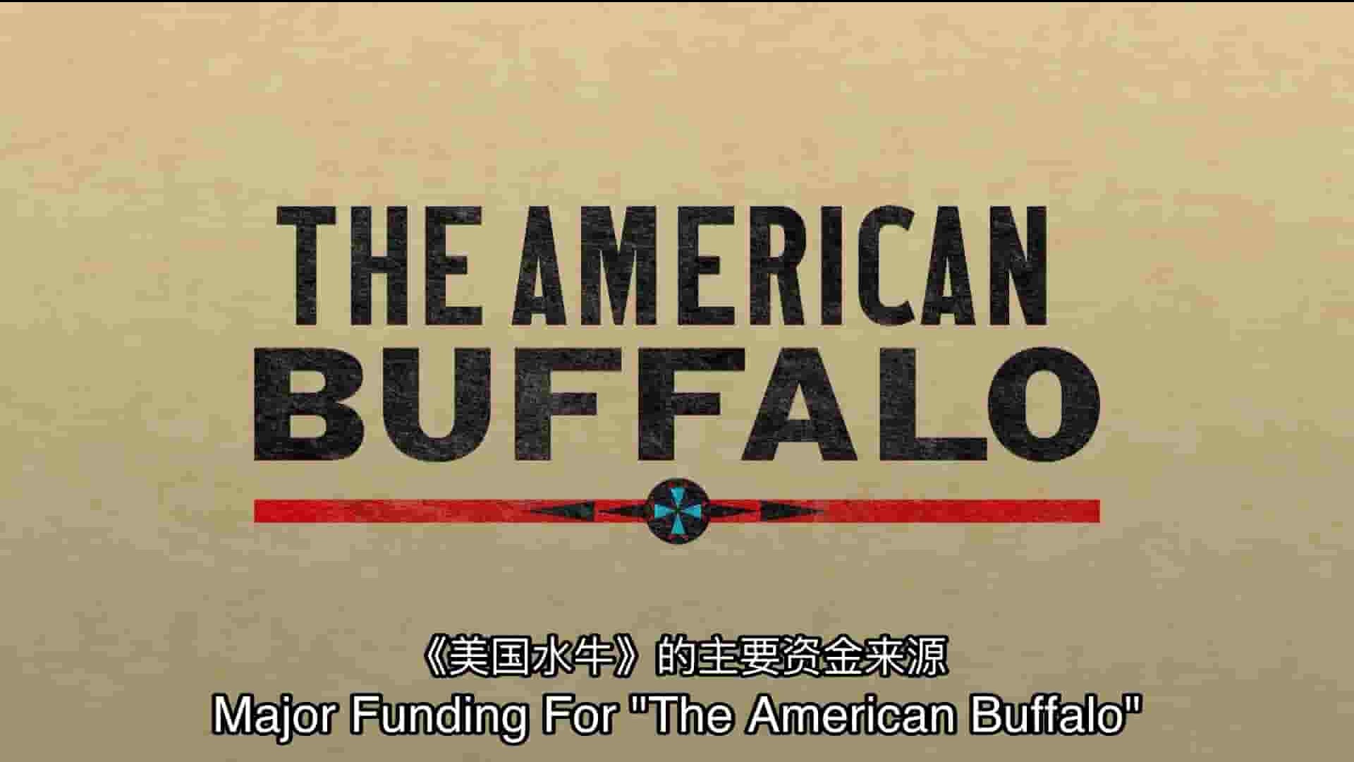 PBS纪录片《美国水牛 The American Buffalo 2023》第1季全3集 英语中英双字 1080P高清网盘下载