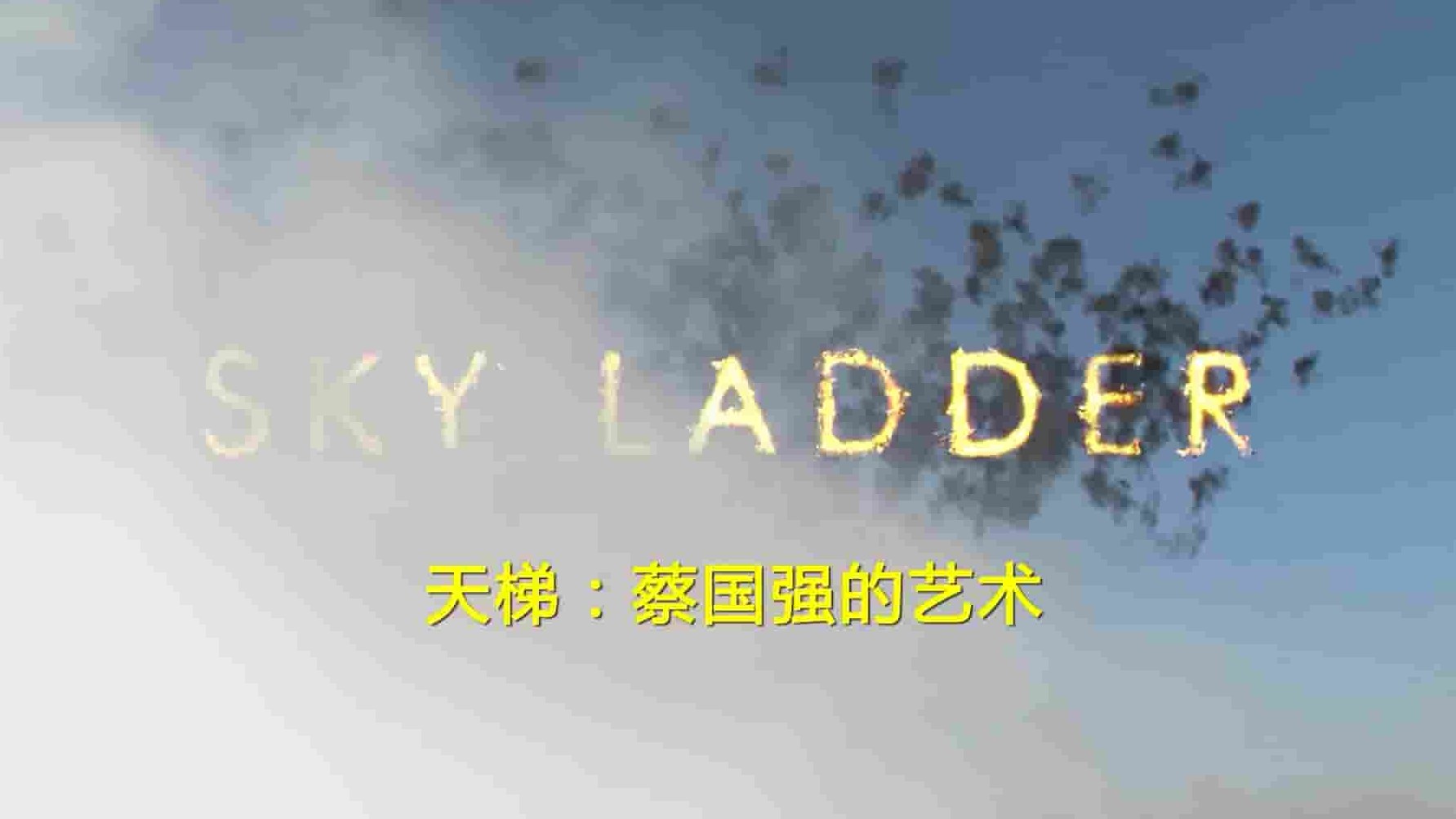 Netflix纪录片《天梯：蔡国强的艺术 Sky Ladder: The Art of Cai Guo-Qiang 2016》全1集 英语内嵌中英字 720P高清网盘下载