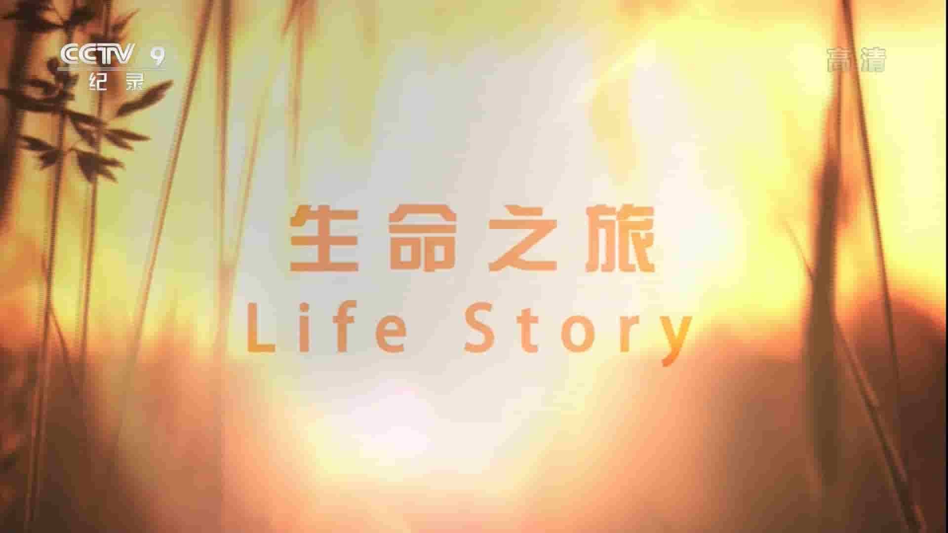 央视纪录片《生命之旅 Journey of Life 2017》全6集 国语中字 1080i高清网盘下载