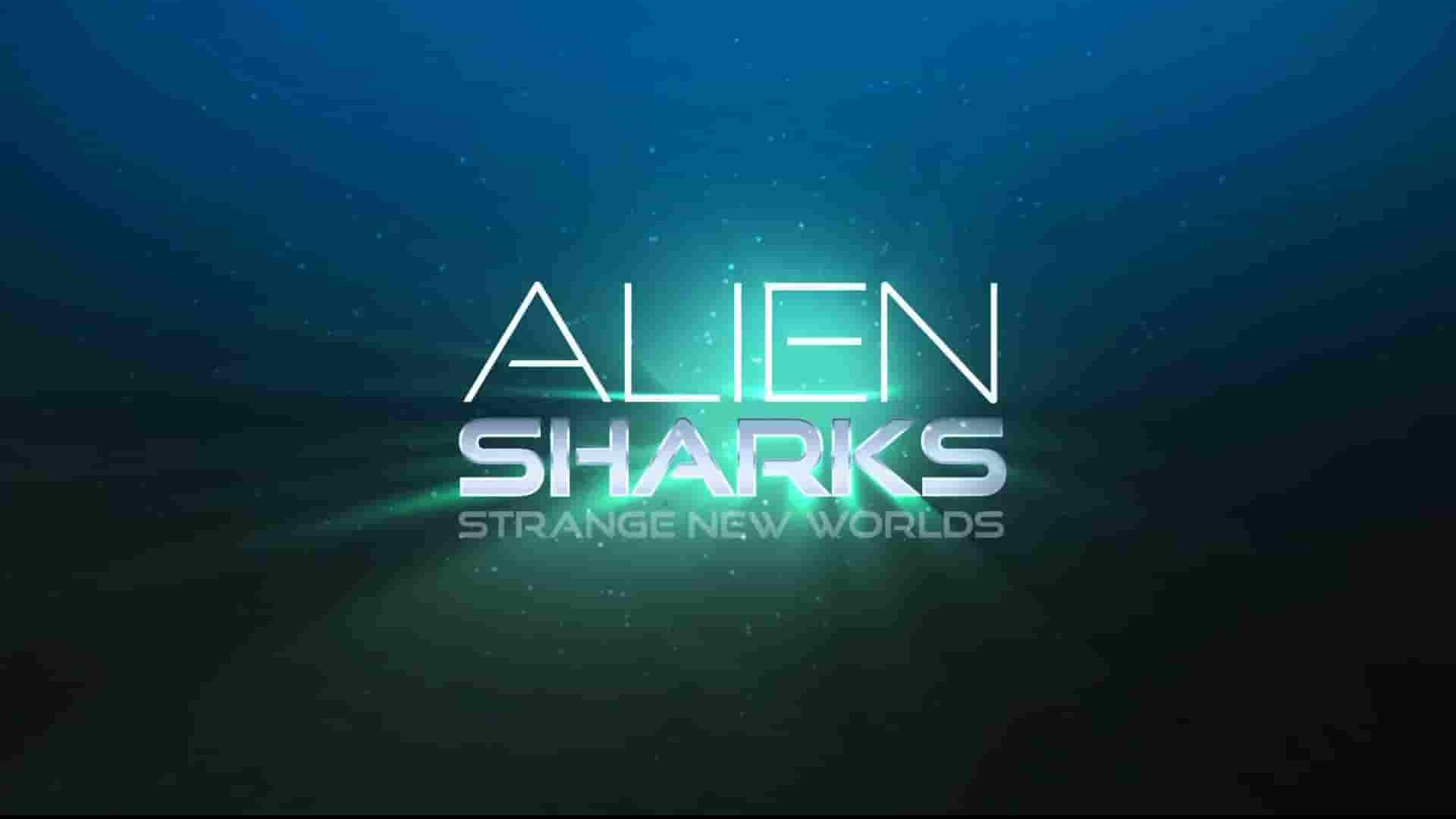 探索频道《外星鲨鱼：奇怪的新世界 Alien Sharks: Strange New Worlds 2023》全1集 英语中英双字 1080P高清网盘下载