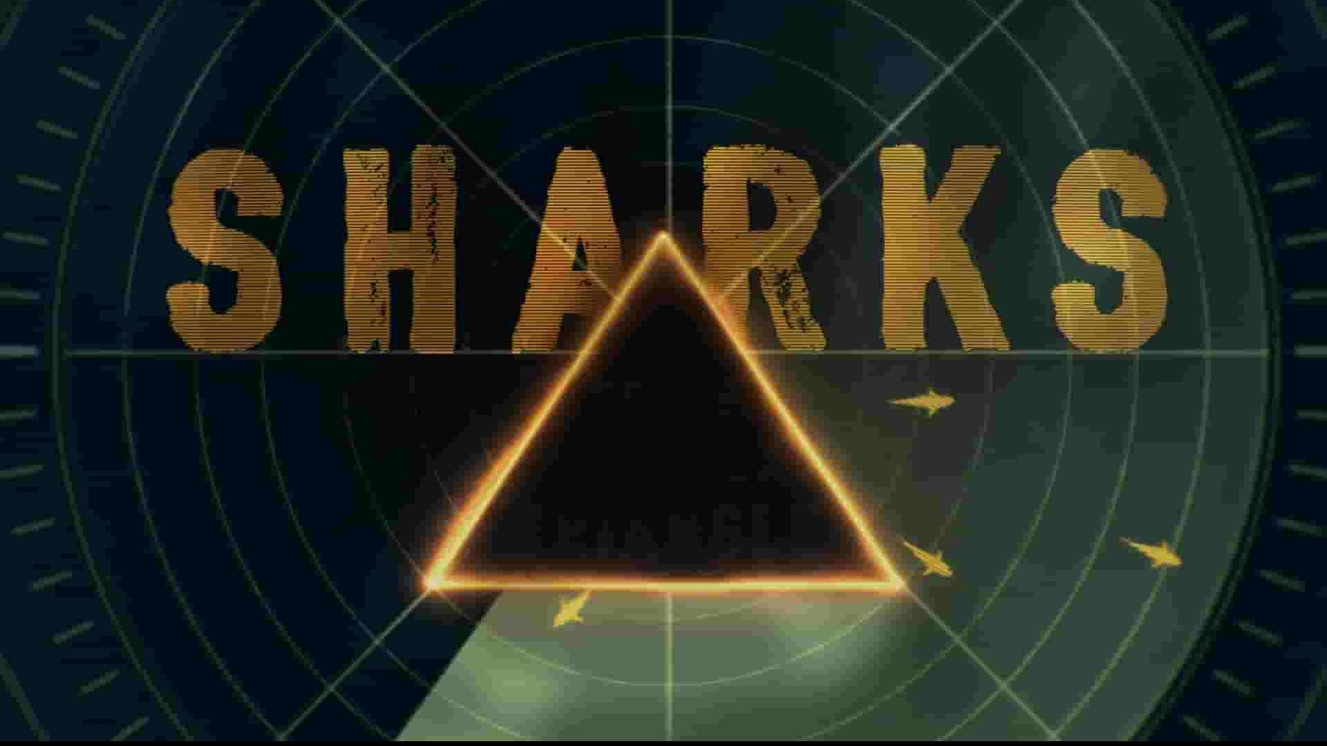 国家地理《百慕大三角：鲨魚 Sharks of the Bermuda Triangle 2020》全1集 英语中英双字 1080P高清网盘下载
