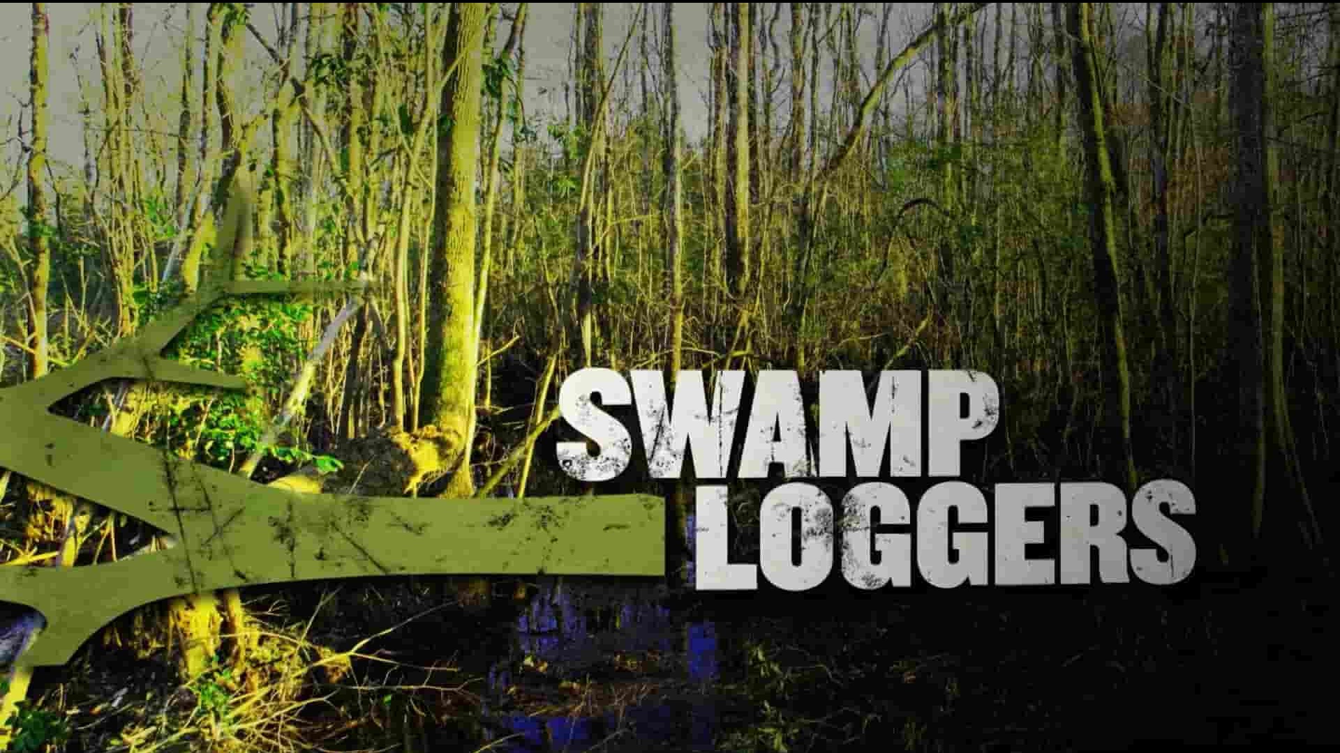 探索频道《沼泽伐木硬汉/沼泽伐木者 Swamp Loggers》第1-2季全20集 英语中英双字 1080P高清网盘下载