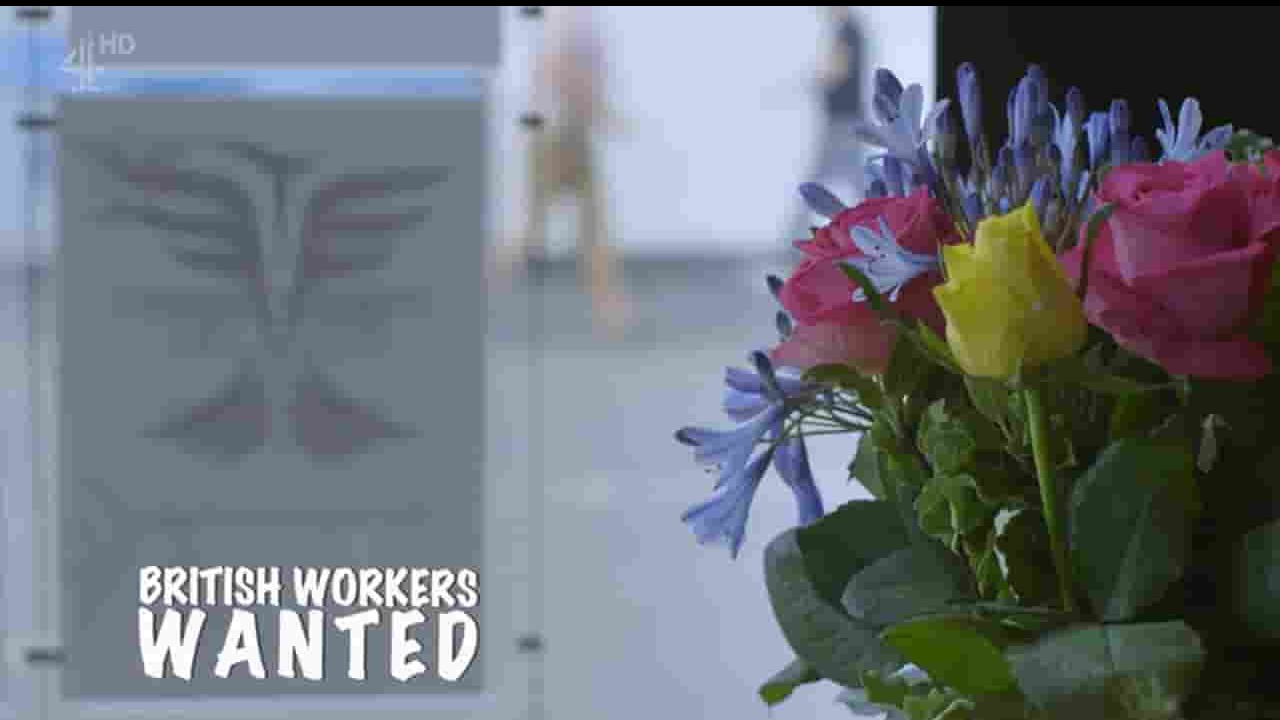 Ch4纪录片《急需英国工人 British Workers Wanted 2017》全1集 英语英字 720P高清网盘下载
