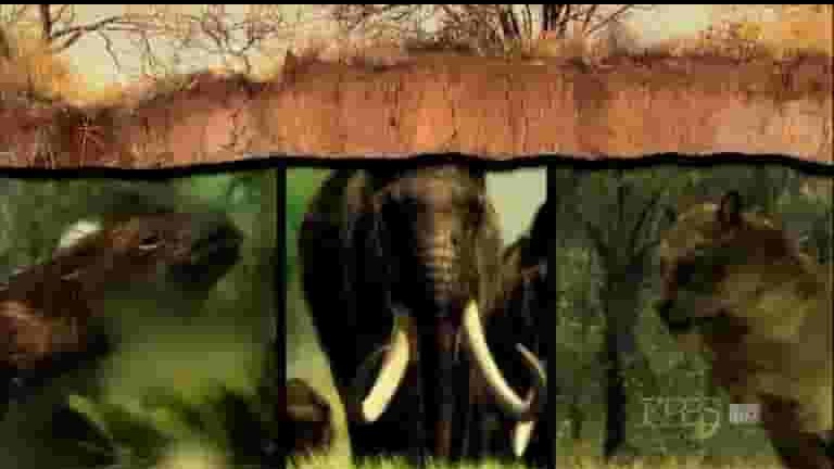  PBS纪录片《猛犸大灭绝 Last Extinction 2009》全1集 英语中字 720p高清网盘下载