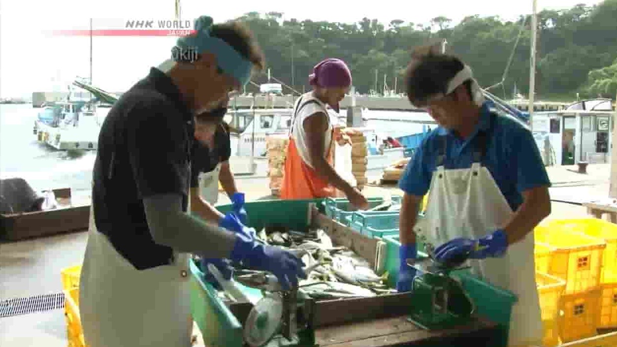 NHK纪录片《筑地足迹：鲭 Trails to Tsukiji Saba Mackerel 2017》全1集 英语无字 720p高清网盘下载