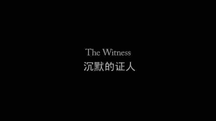 美国纪录片《沉默的证人 The Witness 2015》全1集 中英双字 720p高清网盘下载