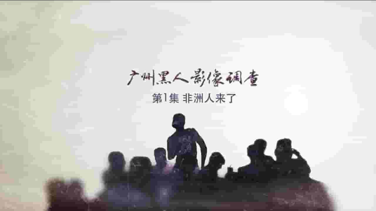 国产纪录片《广州黑人影像调查 2015》全4集 国语中字 720P高清网盘下载