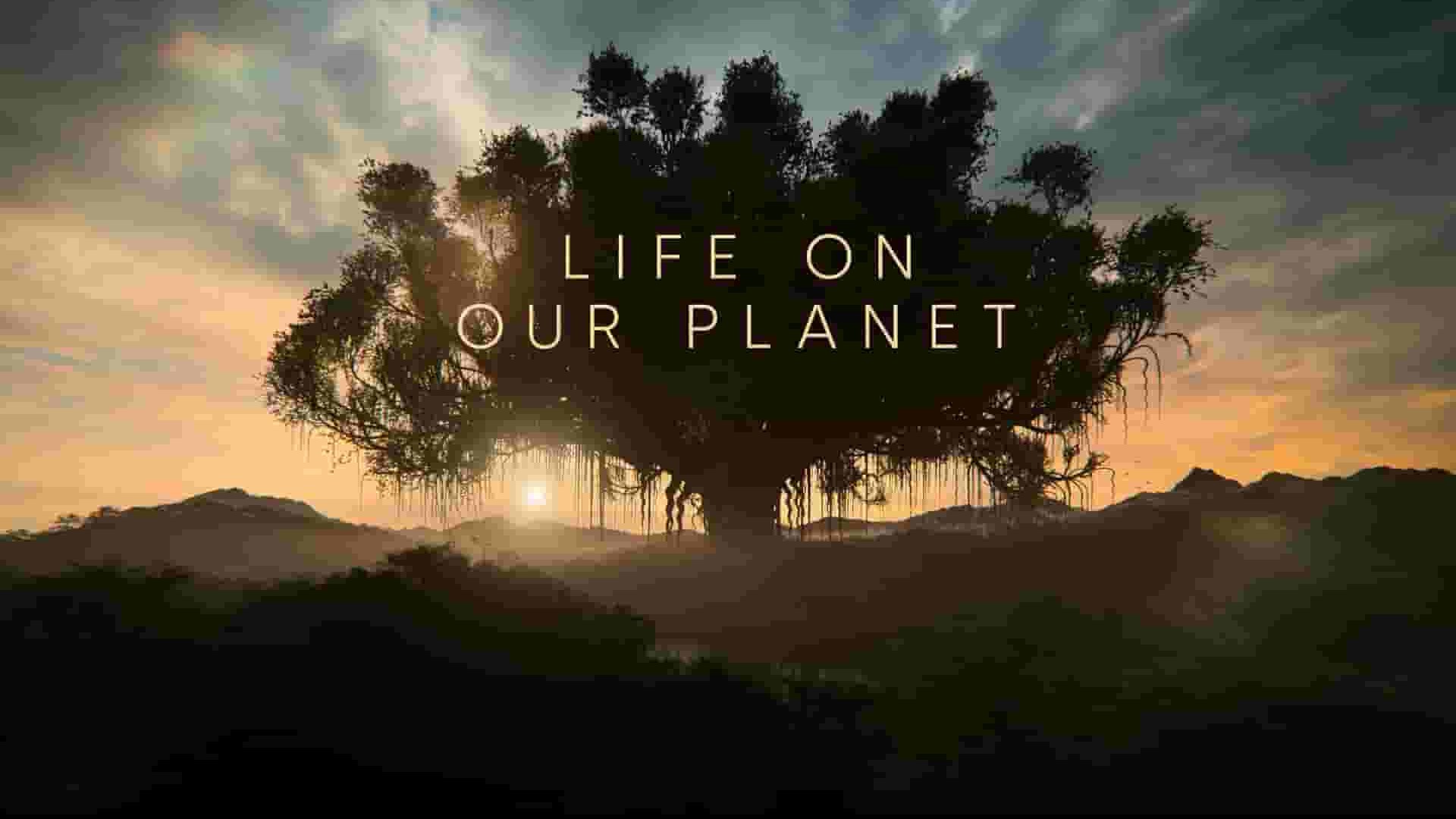 Netflix纪录片《我们星球上的生命/地球万物轨迹/星球生灵 Life on Our Planet 2023》第1季全8集 英语多国中字 1080P高清网盘下载