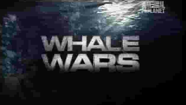 探索频道《护鲸大战 Whale Wars 2010》第1季和第3季全20集 英语中字 1080P高清网盘下载