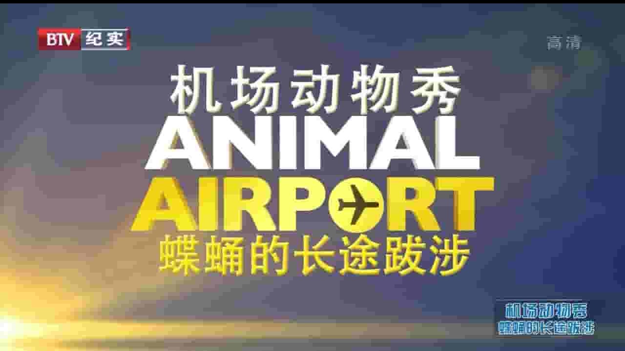 央视纪录片《机场动物秀 Animal Airport》全6集 英语中字 720P高清网盘下载