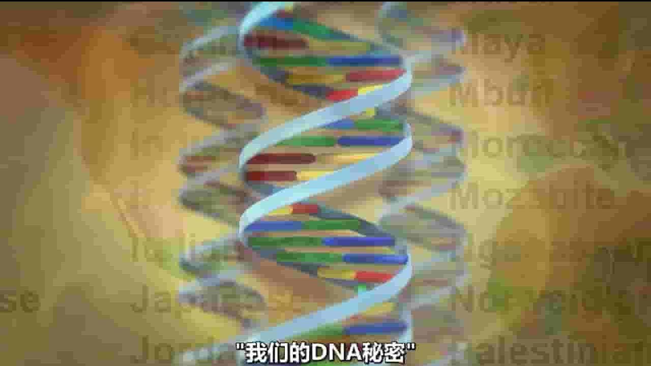 PBS纪录片《我们的DNA秘密 Secrets in Our DNA 2021》全1集 英语中字 720P高清网盘下载
