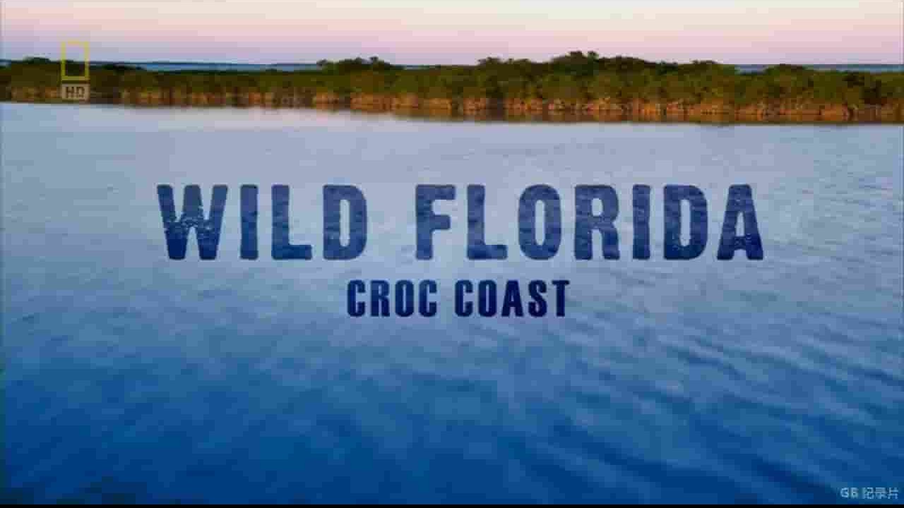 国家地理《佛罗里达：鳄鱼海岸 Wild Florida：Croc Coast 2014》全1集 英语中字 720P高清网盘下载