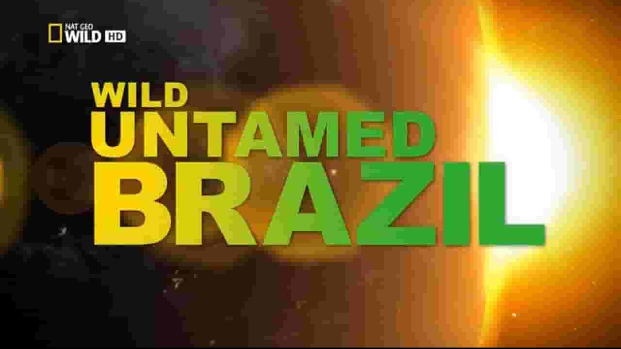 史密森尼频道《巴西：未驯之城 Brazil Untamed 2016》第1季全5集 英语英字 1080P高清网盘下载