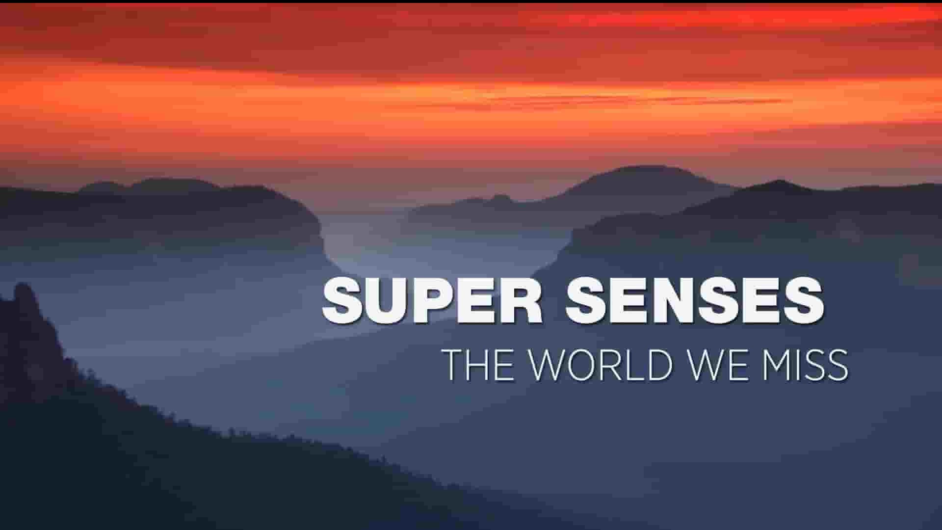 Curiosity纪录片《超级感官：隐秘的世界 Super Senses:The World We Miss 2023》全1集 英语中英双字 1080P高清网盘下载