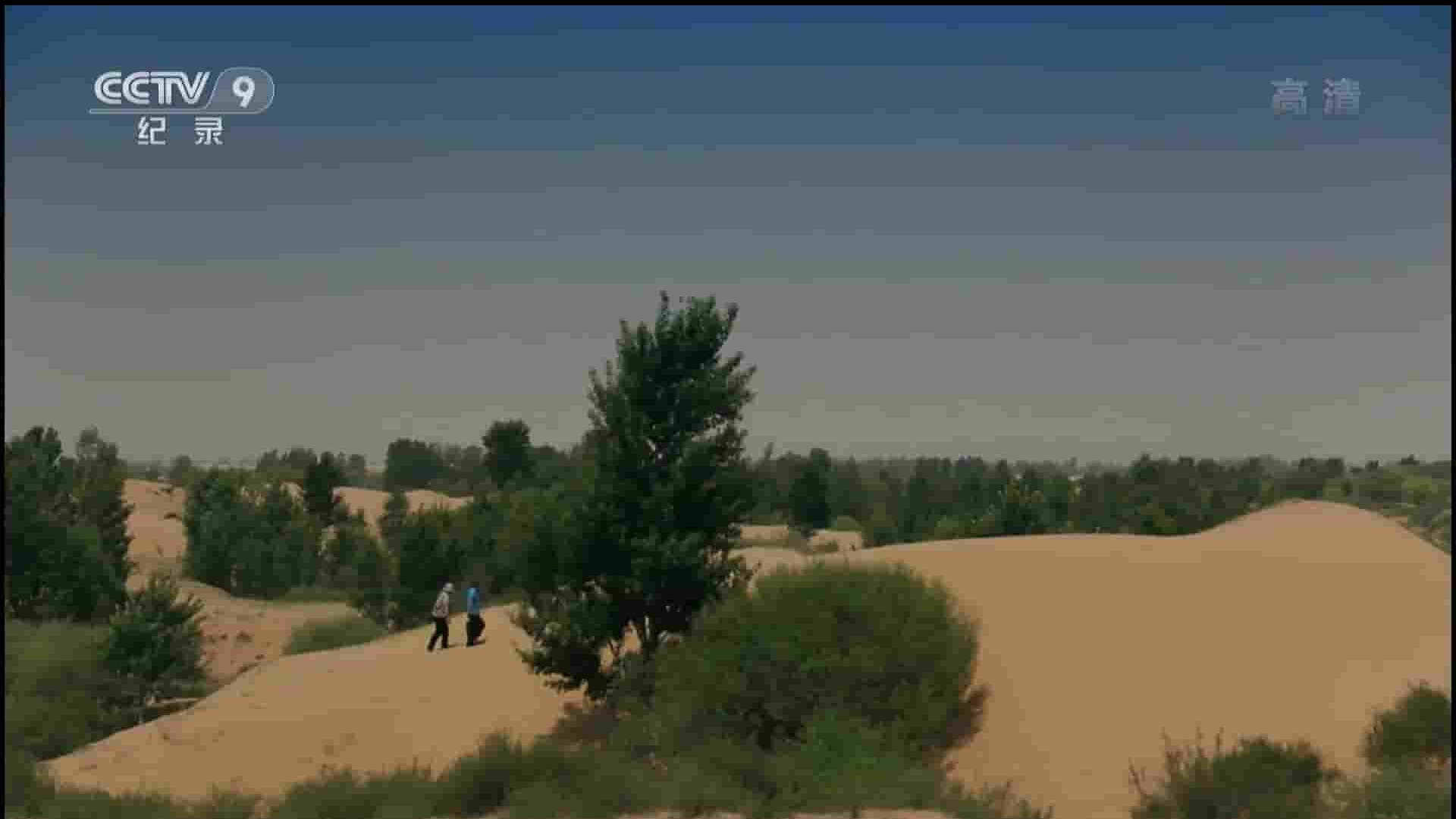 央视纪录片《沙漠消失以后》全3集 国语中字 1080P高清网盘下载 