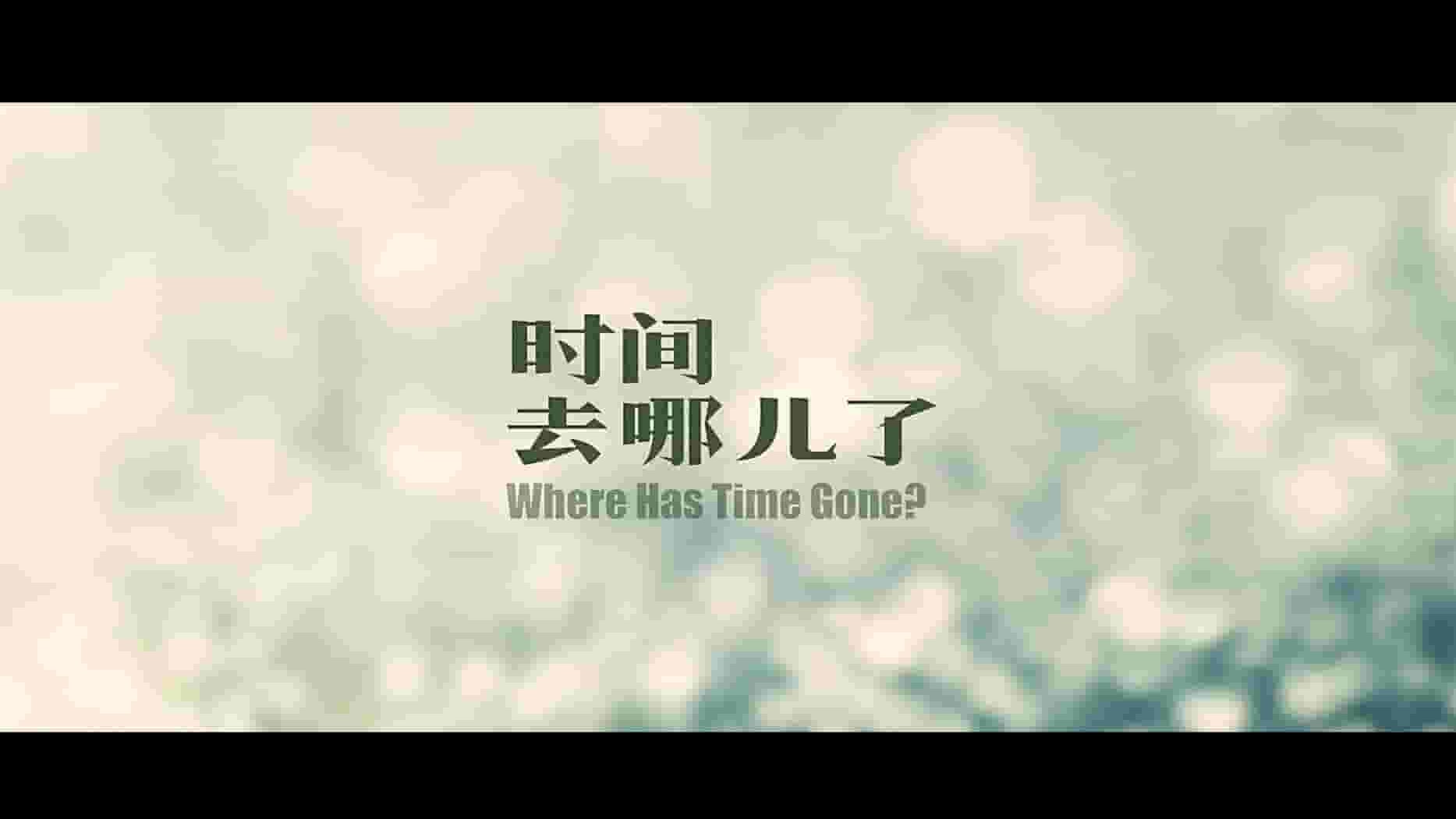 纪录片《时间去哪儿了 Where Has the Time Gone 2017》全1集 国语中字 1080P高清网盘下载