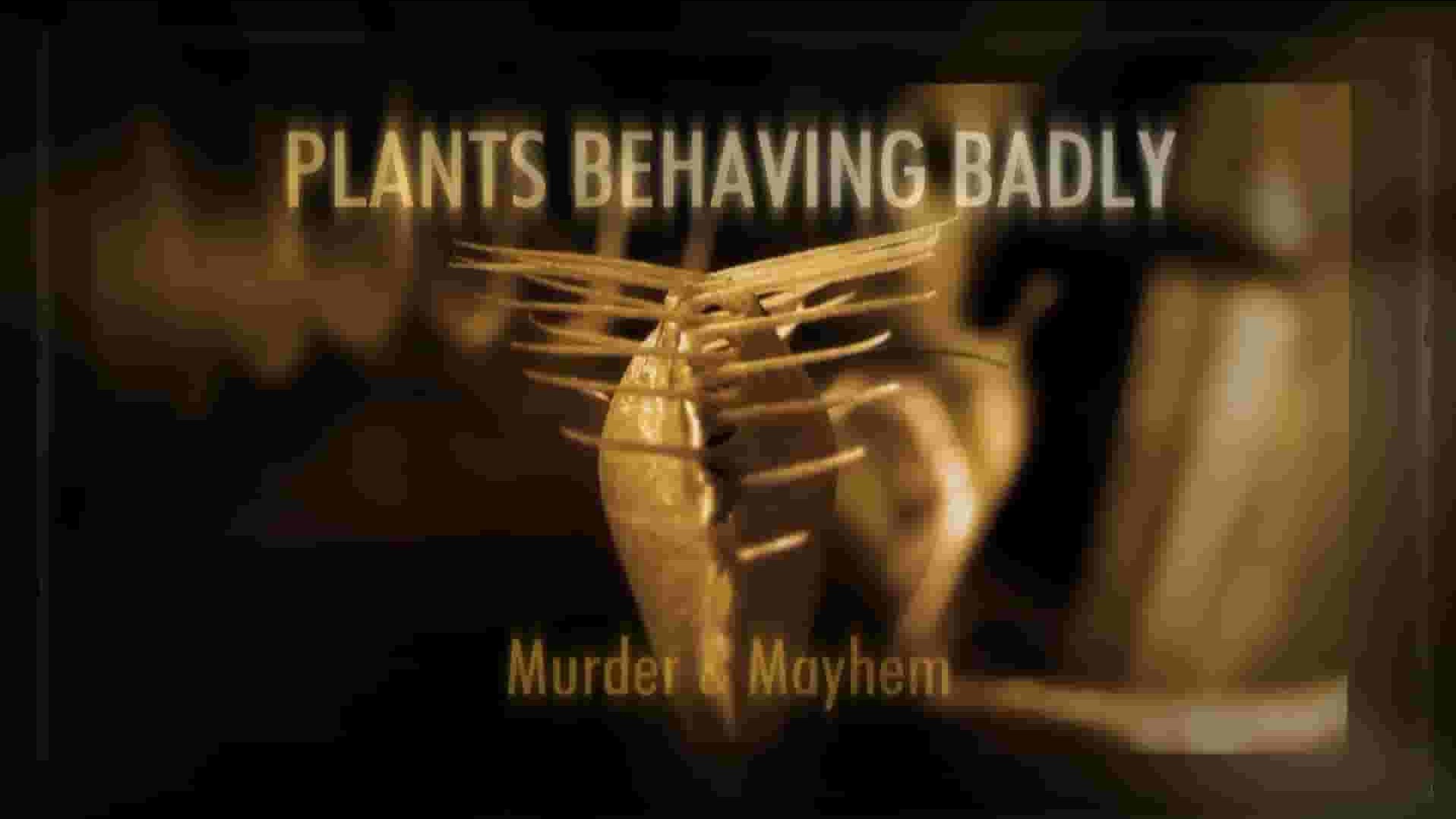 PBS纪录片《植物恶行—兰花的性和谎言 Plants Behaving Badly Sex & Lies 2017》全1集 英语外挂英字 720P高清网盘下载