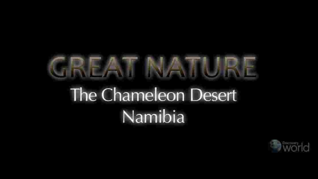 NHK纪录片《变色龙沙漠—纳米布 The Chameleon Desert Namibia 2013》全1集 英语无字 720P高清网盘下载