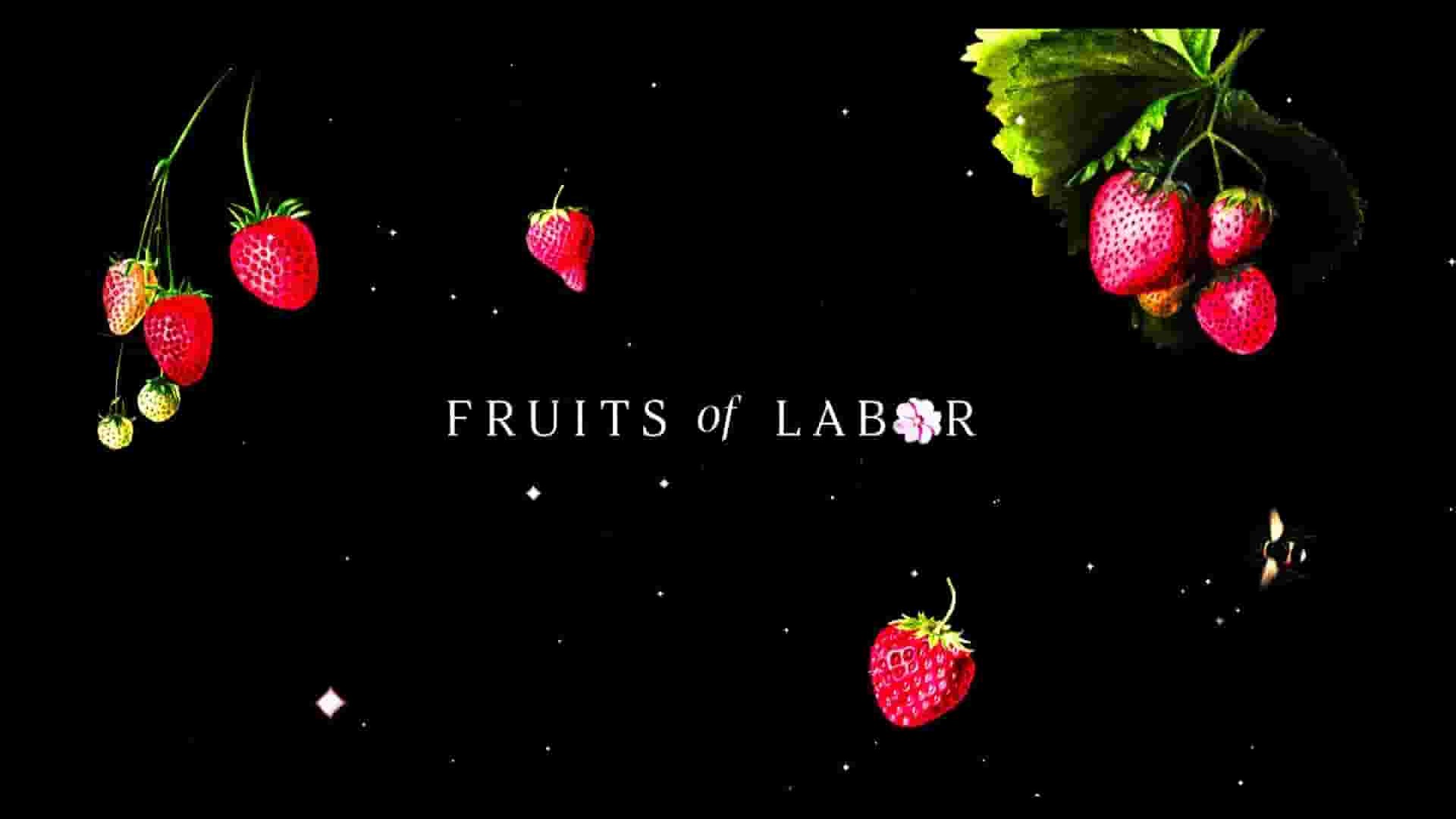 墨西哥纪录片《天道酬勤/劳动的果实 Fruits of Labor 2021》全1集 英语中英双字 1080P高清网盘下载