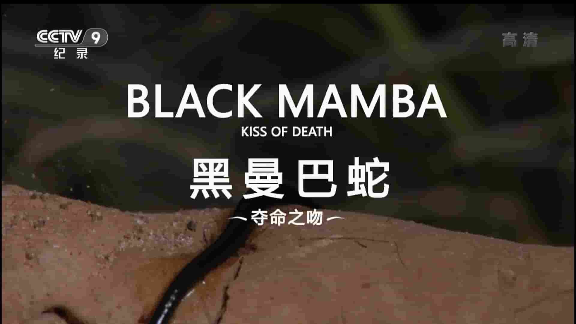 史密森尼频道《黑曼巴蛇 夺命之吻 Black Mamba Kiss Of Death 2017》全1集 国语中字 1080I高清网盘下载