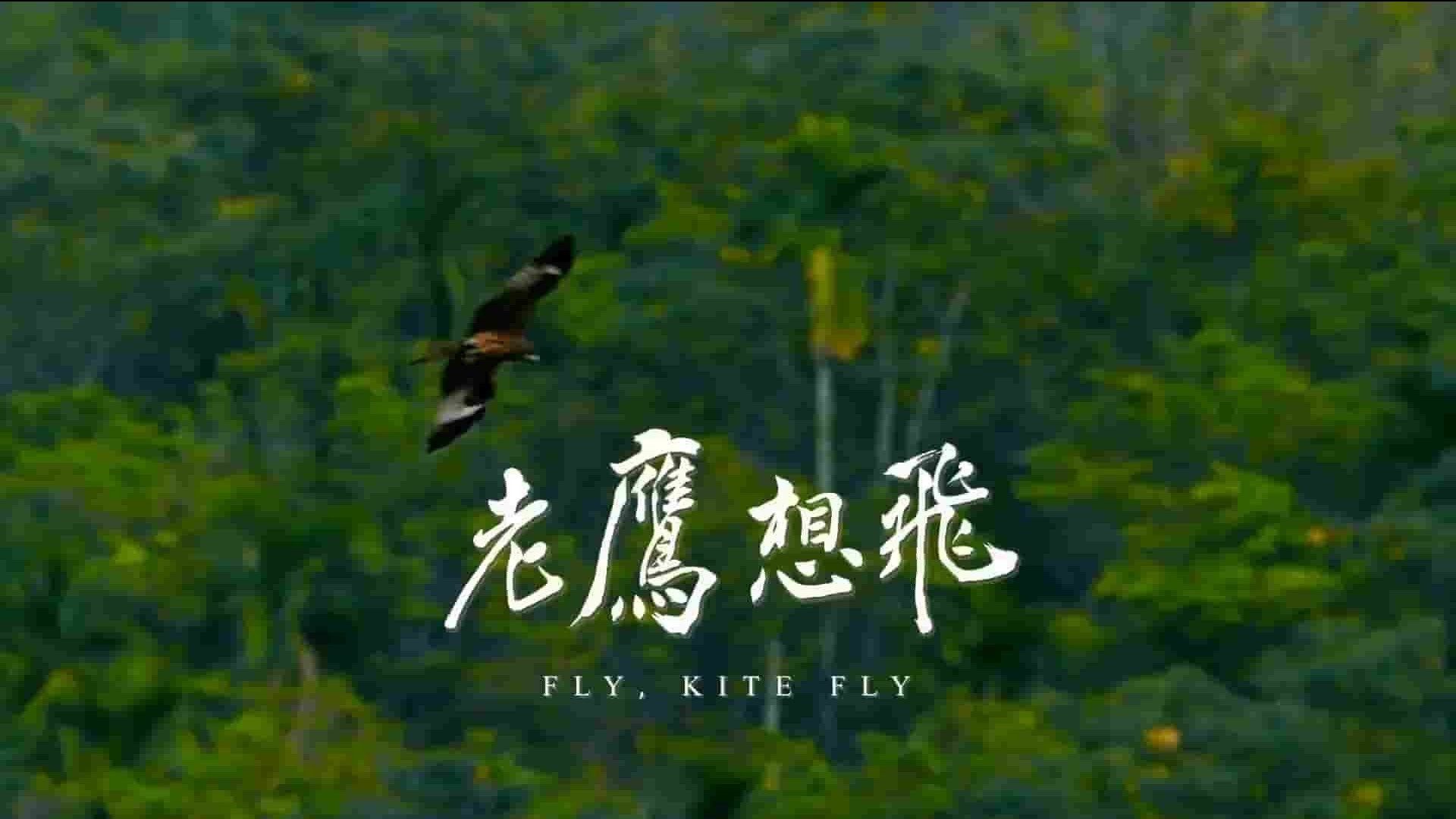 台湾纪录片《老鹰想飞 Fly, Kite Fly 2014》全1集 国语中字 1080P高清网盘下载