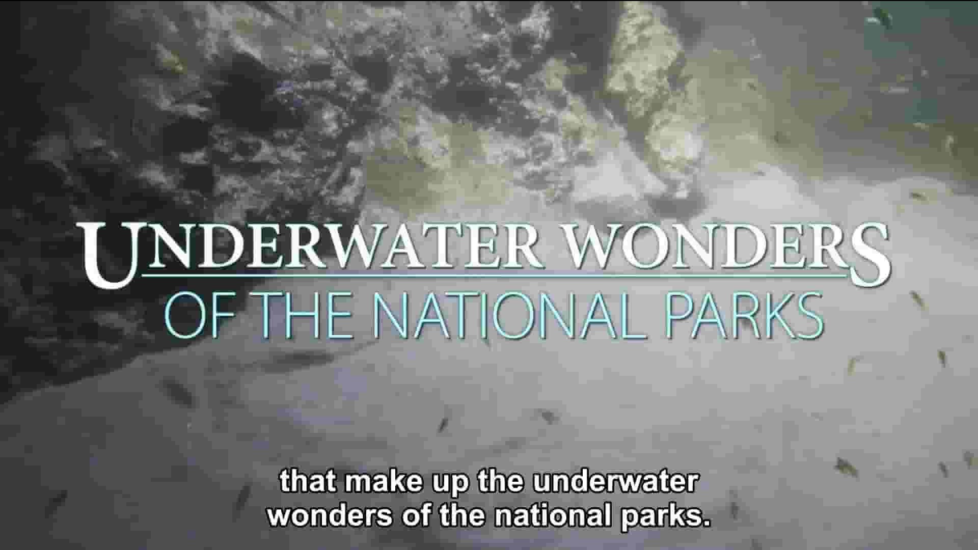  美国纪录片《国家公园的水下奇景 Underwater Wonders of the National Parks 2016》全7集 英语英字 1080P高清网盘下载 